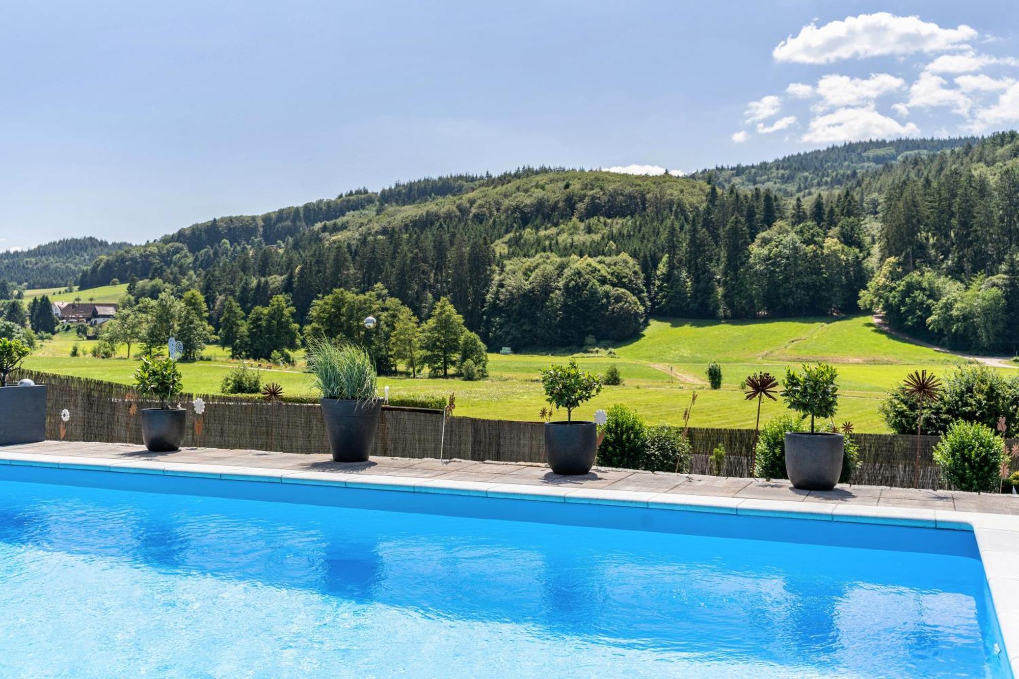 Ferienwohnung Geisbergblick Seelbach  Kültér fotó
